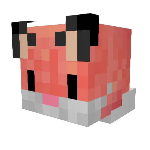 SpaceFox_ Minecraft avatar head, 3D render