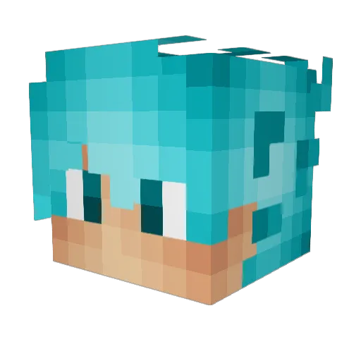 SpaceHirob Minecraft avatar head, 3D render
