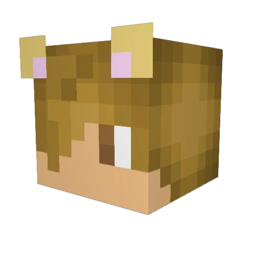 SpaceJesuss Minecraft avatar head, 3D render