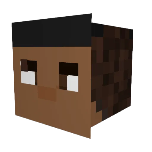 SpaceKali Minecraft avatar head, 3D render