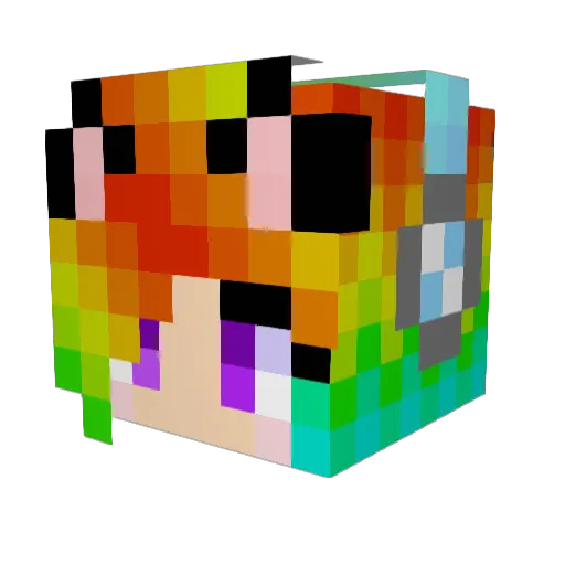 SpaceKitty19 Minecraft avatar head, 3D render