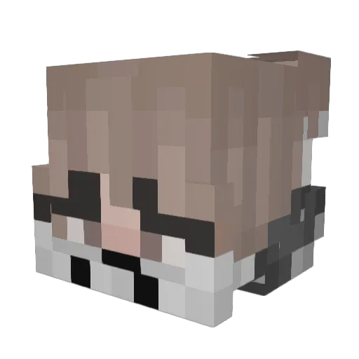 SpaceLabs Minecraft avatar head, 3D render