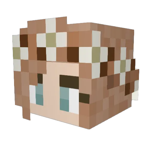 SpaceLamb771 Minecraft avatar head, 3D render