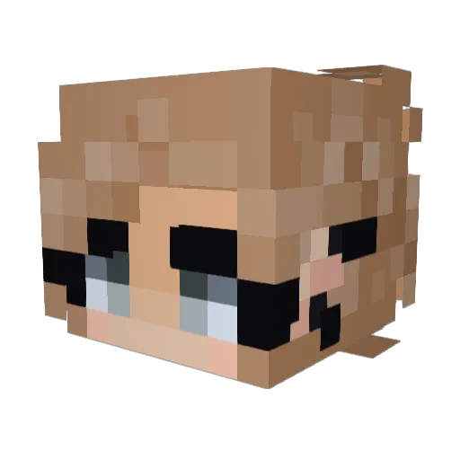 SpaceLlama27 Minecraft avatar head, 3D render