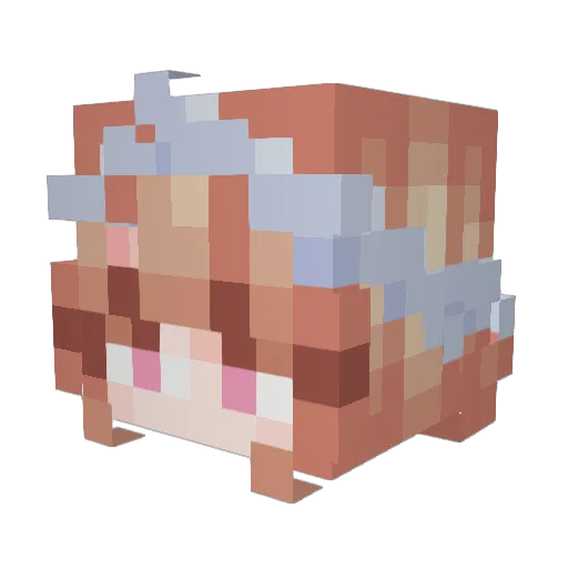 SpaceMeerkat Minecraft avatar head, 3D render