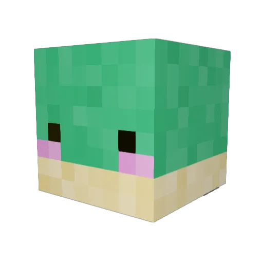 SpaceOrchid Minecraft avatar head, 3D render