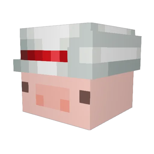 SpacePiggy Minecraft avatar head, 3D render