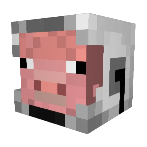 SpacePorkChop Minecraft avatar head, 3D render
