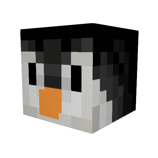 SpaceRona Minecraft avatar head, 3D render