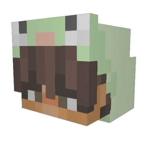 SpaceSkeptic Minecraft avatar head, 3D render