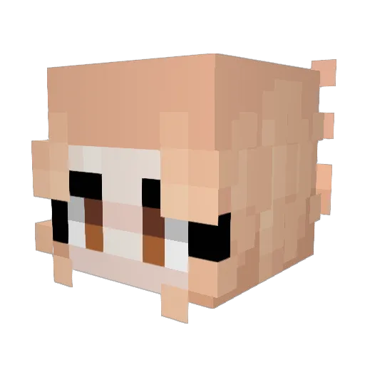 SpaceSnake189 Minecraft avatar head, 3D render