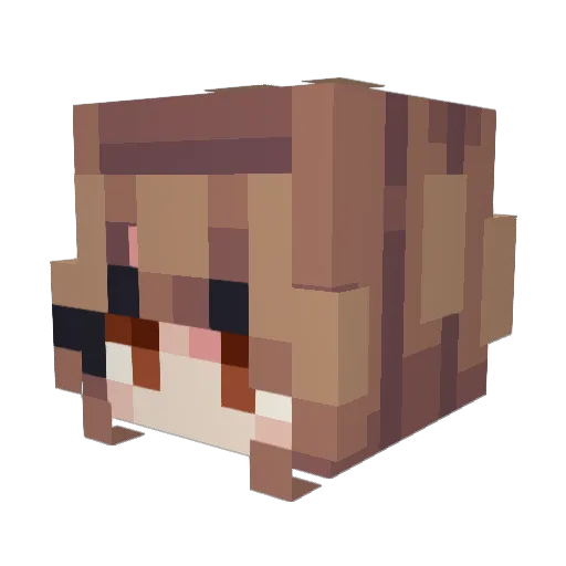 SpaceSora Minecraft avatar head, 3D render