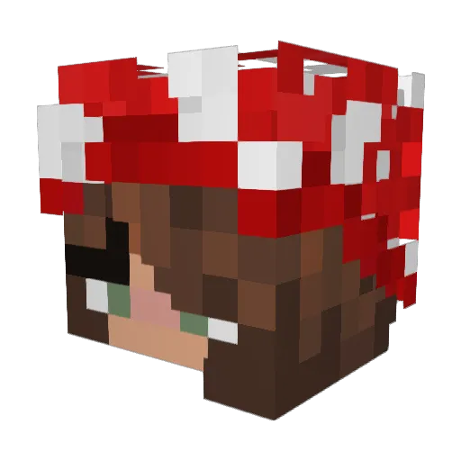 SpaceStar098 Minecraft avatar head, 3D render