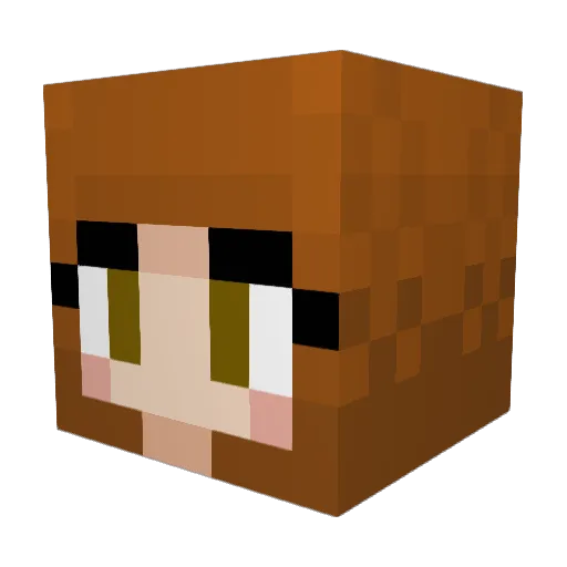 SpaceTerrier Minecraft avatar head, 3D render