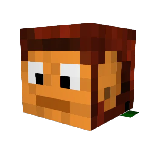 SpaceTow Minecraft avatar head, 3D render
