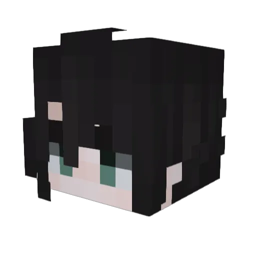 SpaceWalker24601 Minecraft avatar head, 3D render