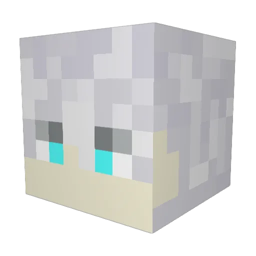 SpaceWeeb1 Minecraft avatar head, 3D render