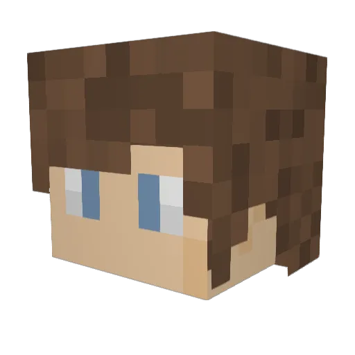 SpaceWolfNinja Minecraft avatar head, 3D render