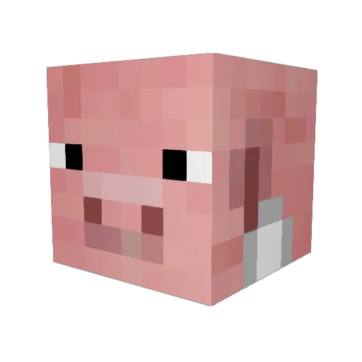 Space_Bacon Minecraft avatar head, 3D render