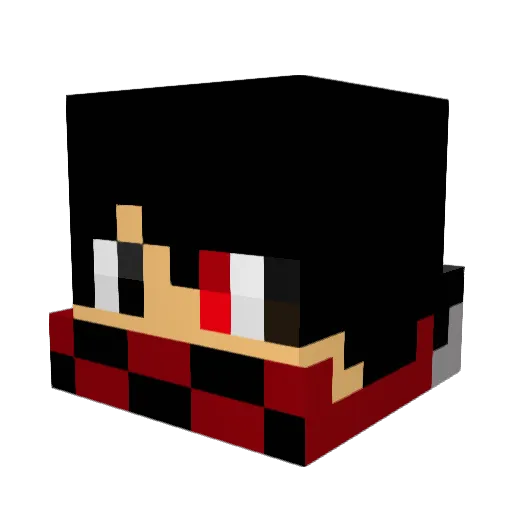 Space_Bro1 Minecraft avatar head, 3D render