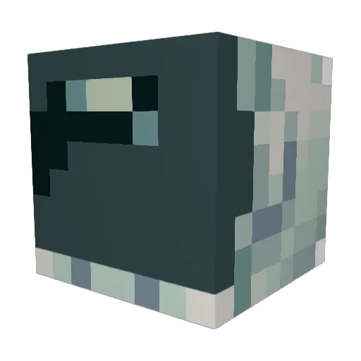 Space_Brotato Minecraft avatar head, 3D render