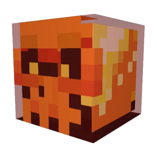 Space_C0WIE Minecraft avatar head, 3D render