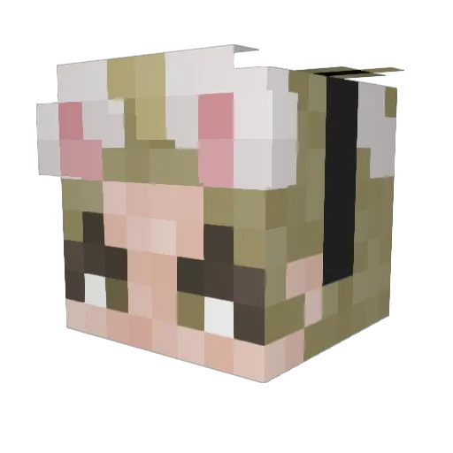 Space_Cadet03 Minecraft avatar head, 3D render