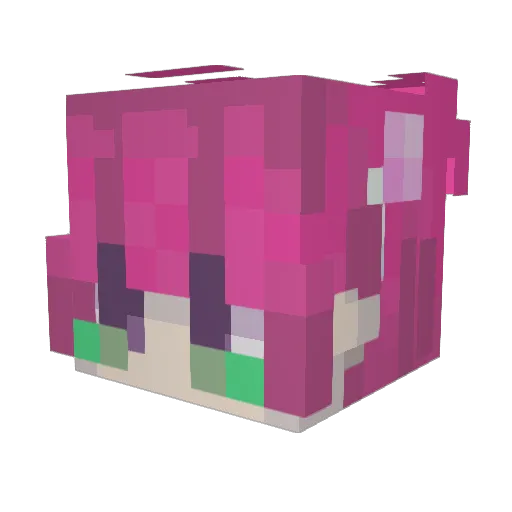 Space_Cadet36 Minecraft avatar head, 3D render