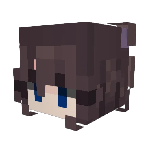 Space_Crunch_ Minecraft avatar head, 3D render