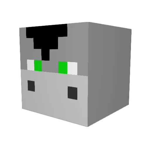 Space_Donkey2111 Minecraft avatar head, 3D render