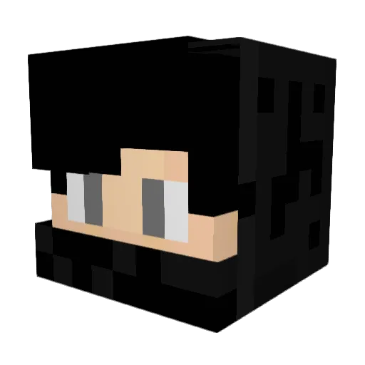 Space_JP Minecraft avatar head, 3D render