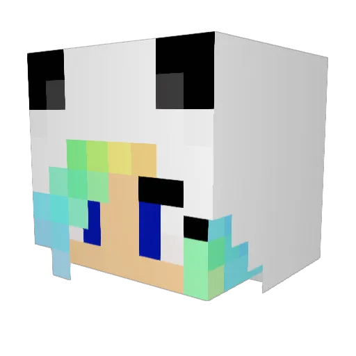 Space_Pandaz Minecraft avatar head, 3D render