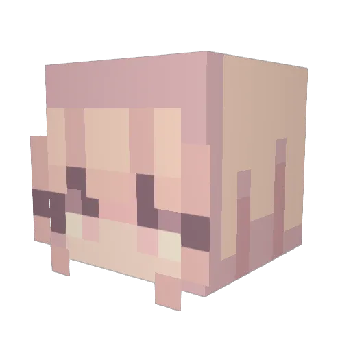 Space__Lev Minecraft avatar head, 3D render