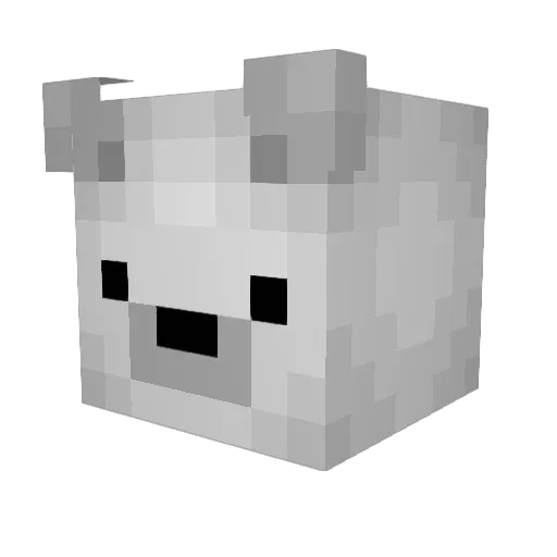 Space___Bear Minecraft avatar head, 3D render