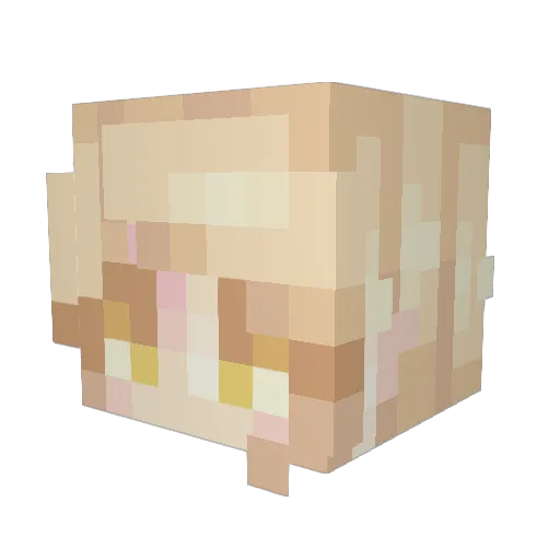 Space_bxbe Minecraft avatar head, 3D render