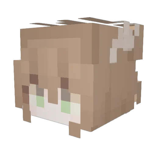 Space_ex123 Minecraft avatar head, 3D render