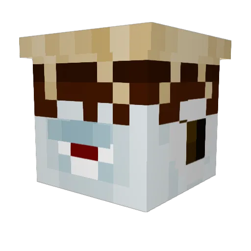 Space_prawnz Minecraft avatar head, 3D render