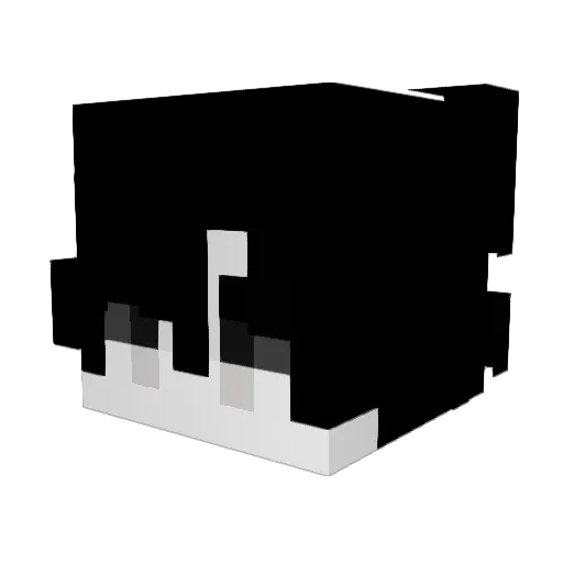 Spaceartur Minecraft avatar head, 3D render