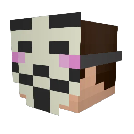 Spaceasians Minecraft avatar head, 3D render