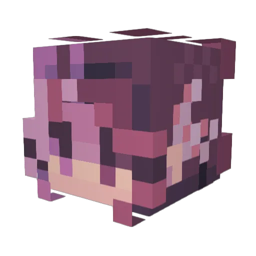 Spaceberryy Minecraft avatar head, 3D render