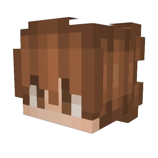 Spacecat8 Minecraft avatar head, 3D render