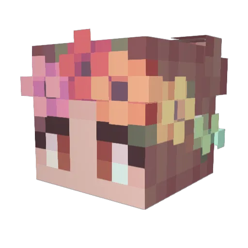 SpacecatInOrbit Minecraft avatar head, 3D render