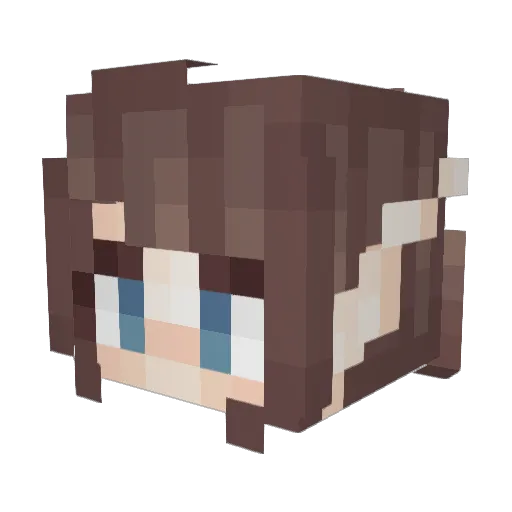 Spacecowboy033 Minecraft avatar head, 3D render