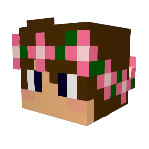 SpacedBubs Minecraft avatar head, 3D render