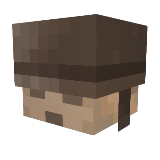 SpacedJackson Minecraft avatar head, 3D render