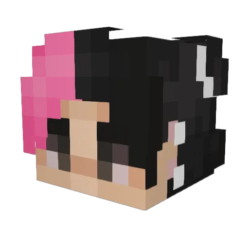 Spacedout6540 Minecraft avatar head, 3D render