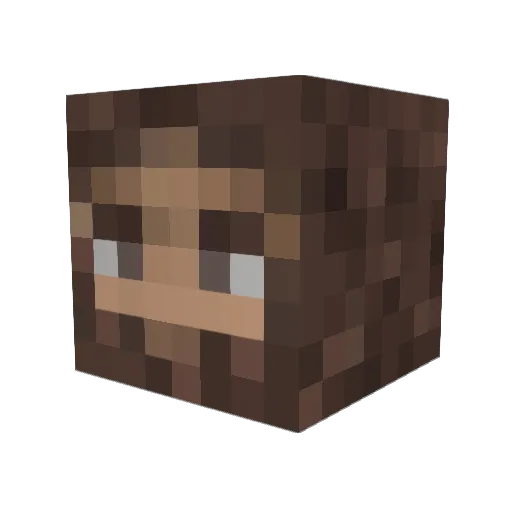 Spaceguy17 Minecraft avatar head, 3D render