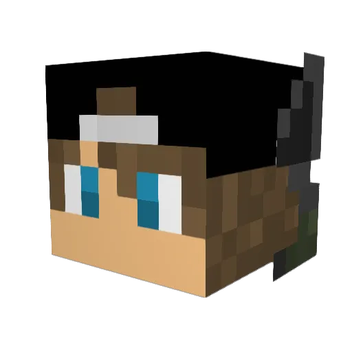 Spacehunter2006 Minecraft avatar head, 3D render