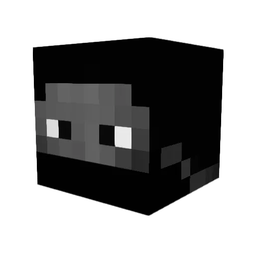 Spacehunter66 Minecraft avatar head, 3D render