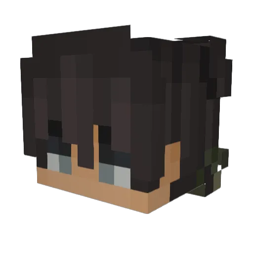Spacejumper0 Minecraft avatar head, 3D render
